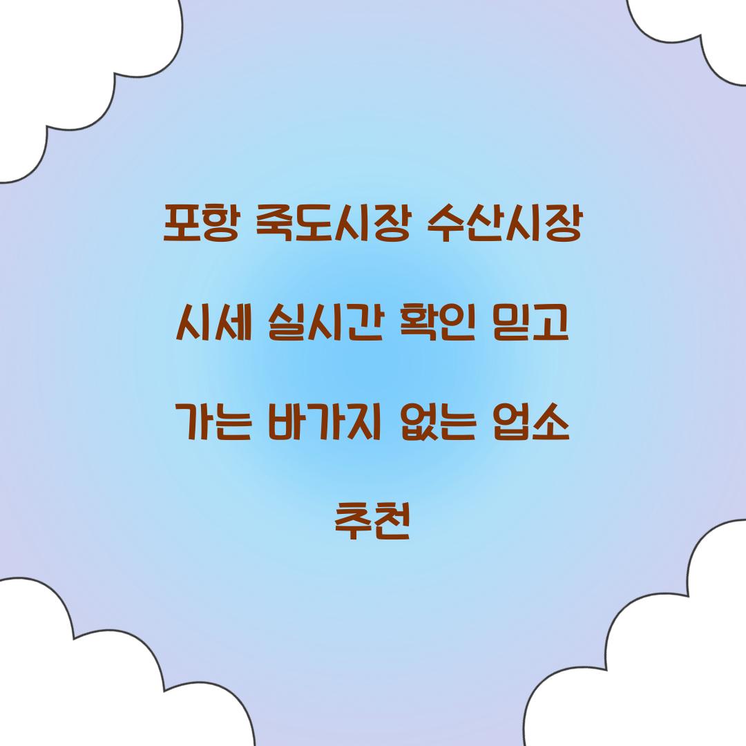 포항 죽도시장 수산시장 시세 실시간 확인