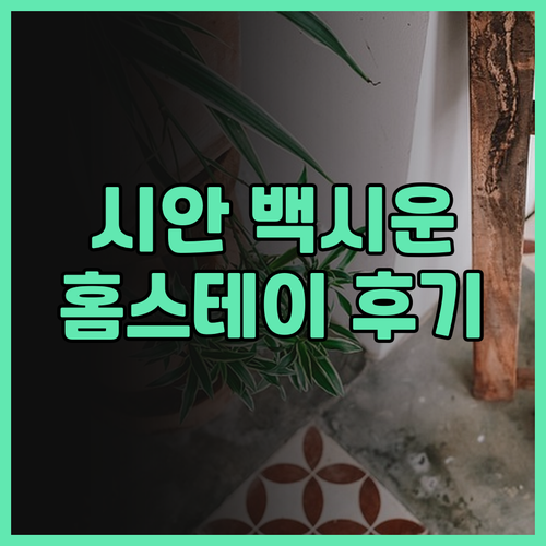 시안 백시운주 홈스테이 (친링 야생