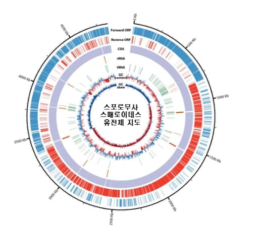 한국형 자생 아세토젠, 해외 상업 미생물보다 분해 능력 두 배 이상 높아