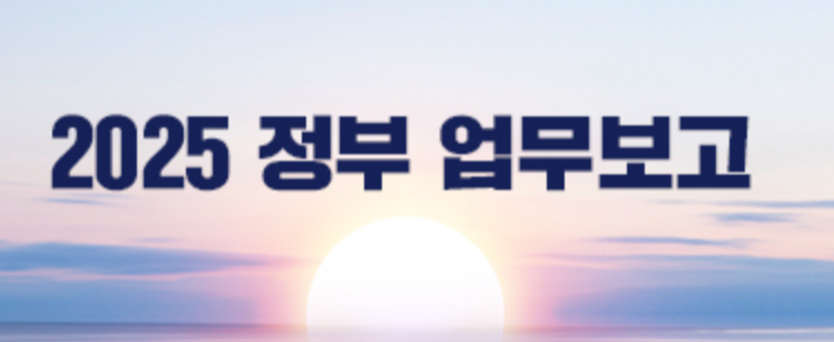 2025 정부 업무보고 요약