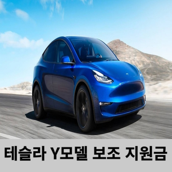 테슬라 모델Y