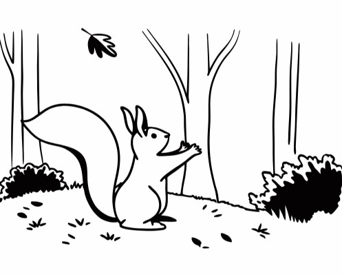 스트레칭하는 다람쥐