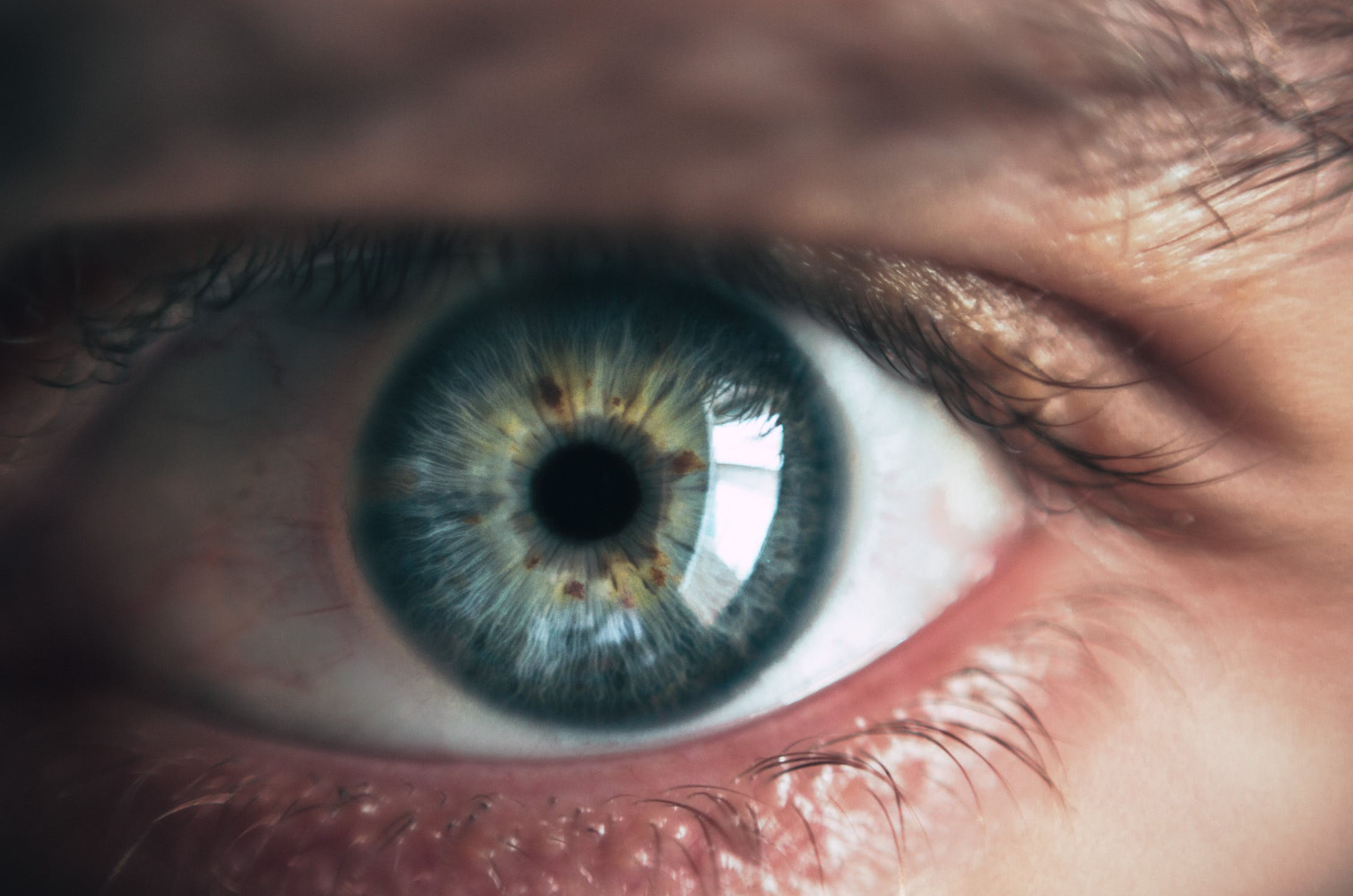 눈동자 사진