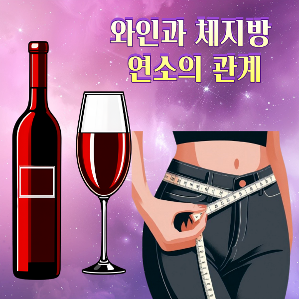 와인과 체지방 연소의 관계