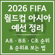 2026 월드컵 실시간 조별 순위