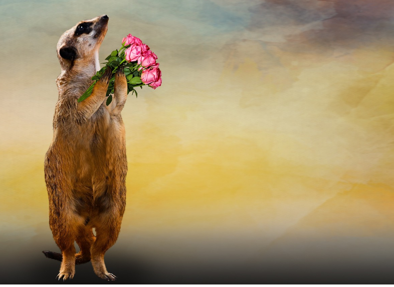 일상 속 작지만 소중한 감사의 순간들