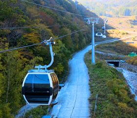 가리왕산 케이블카 등산코스&amp;#44; 요금&amp;#44; 맛집 총정리