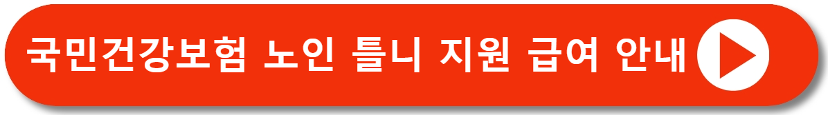 의료급여 수급자 노인 틀니 지원