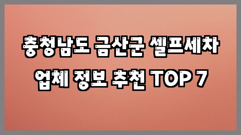 충청남도 금산군 셀프세차