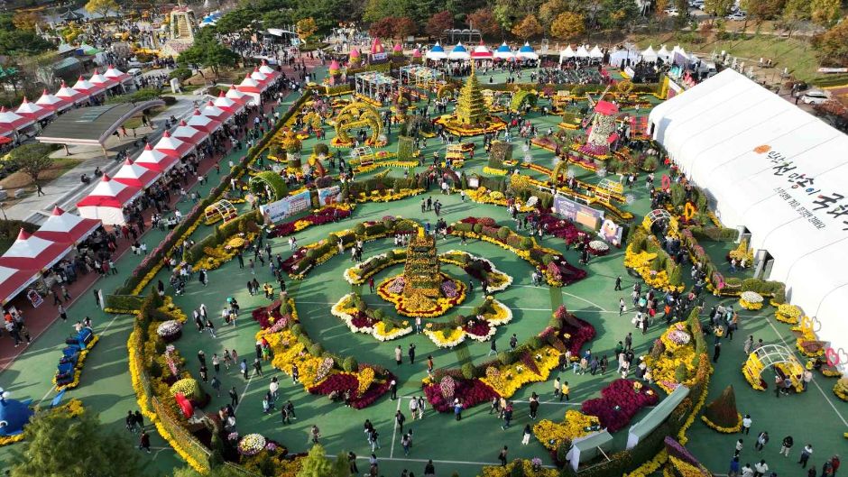 익산 천만송이 국화축제