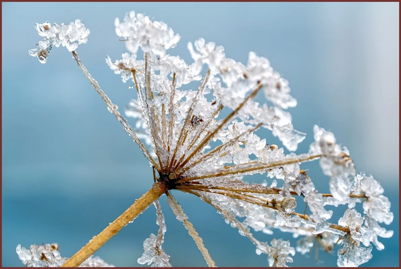 적금 금리 높은곳