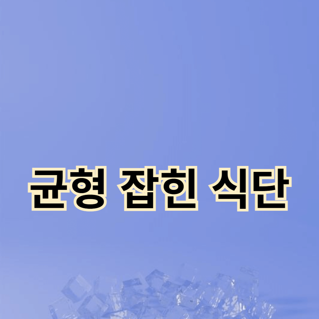 체중 감량과 근육 강화를 위한 균형 잡힌 식단