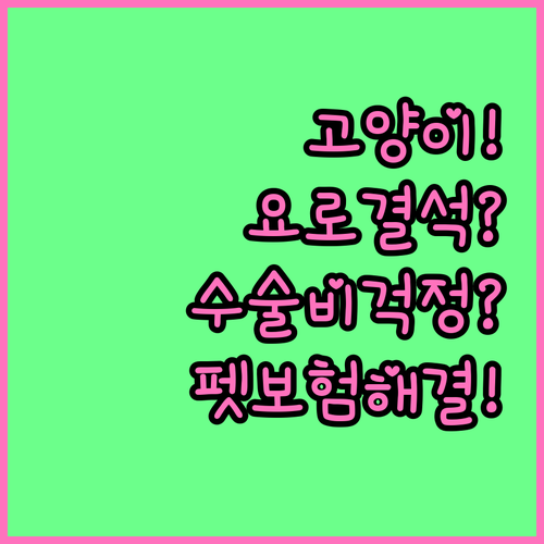 고양이 요로결석 수술비 걱정 펫보험 ..