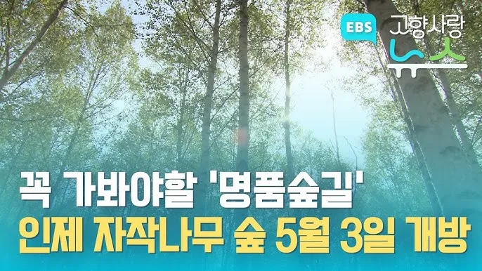 걷기좋은 명품 숲길 30선 숨겨진 코스_5