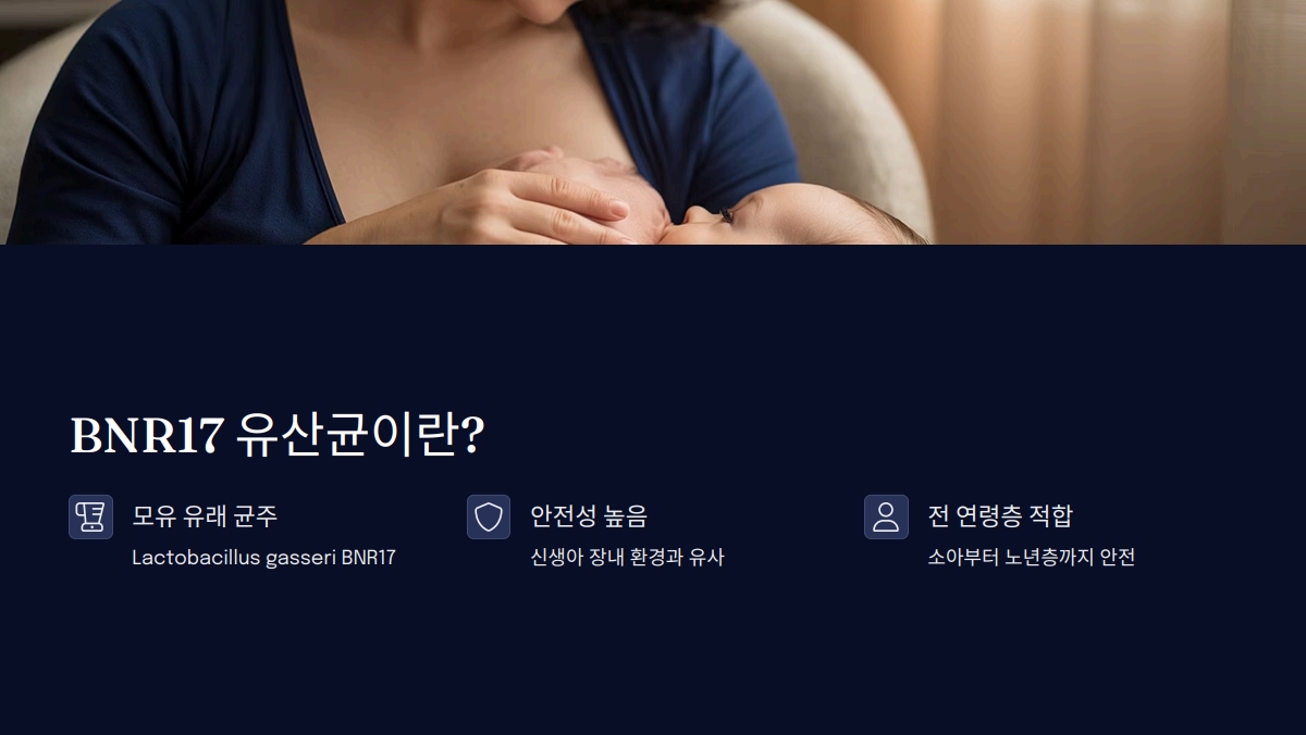 BNR17 유산균 효능
