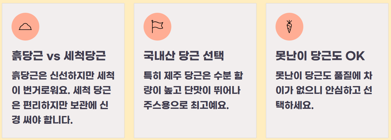 주스용 당근 효능