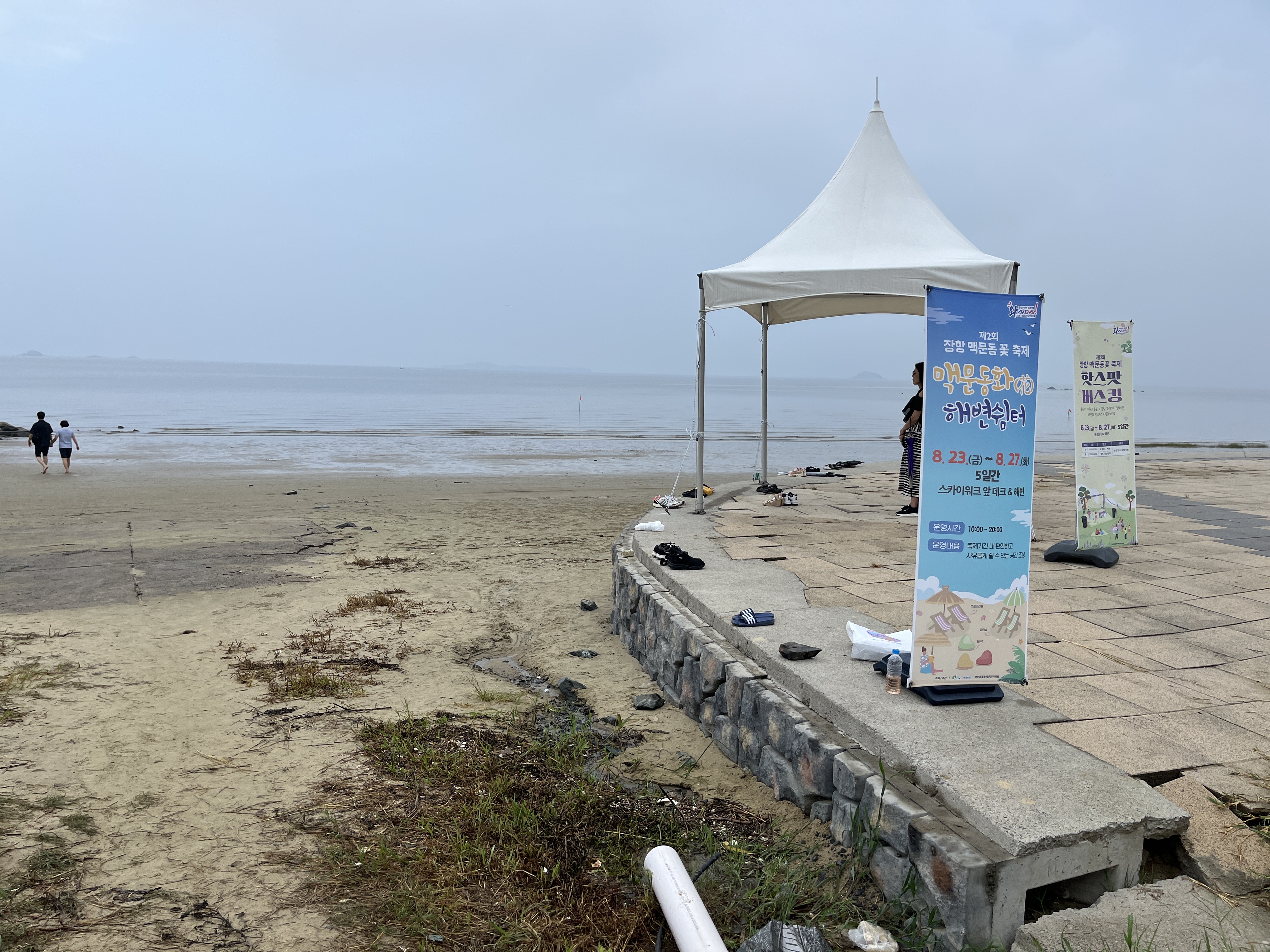 장항 맥문동 축제