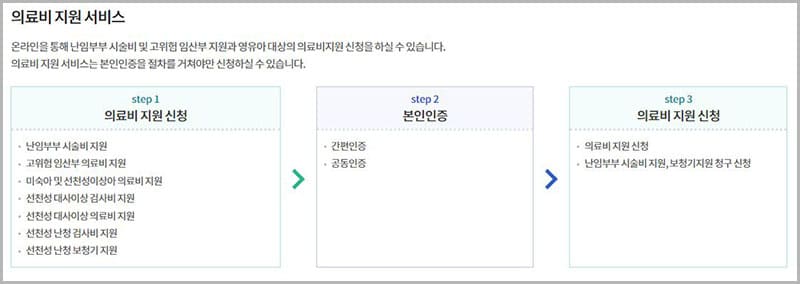 의료비 지원 서비스 신청 방법