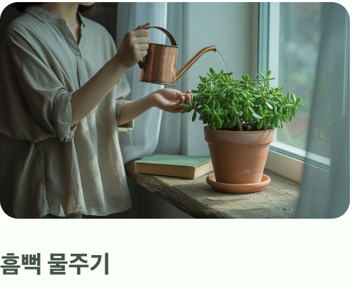 물주기의 딜레마, '과습'을 피하는 기술
