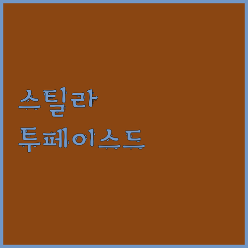 스틸라 vs 투페이스드 아이섀도우 팔..