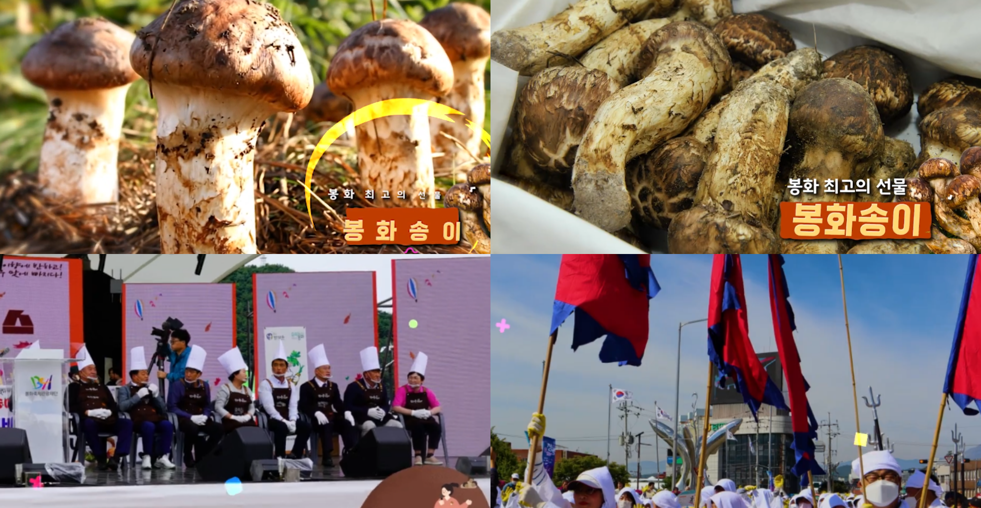 2025 봉화 송이축제