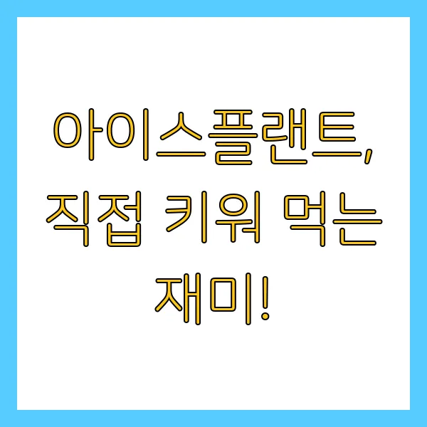 아이스플랜트 효능, 섭취량, 구매, 재배 방법 FAQ