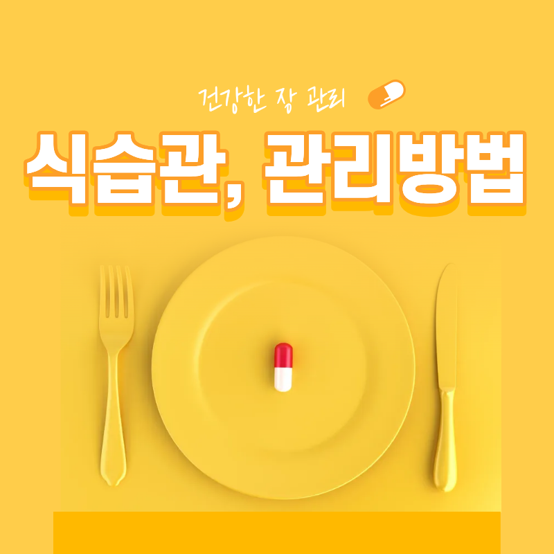 건강한 장을 만드는 식습관과 장 건강 관리 방법 총정리