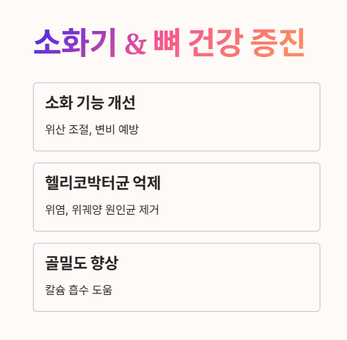 엑스트라버진 올리브오일 효능 : 소화기와 뼈 건강 증진