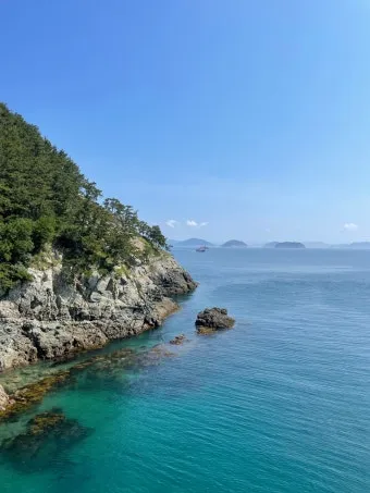 통영 연화도 수국 꽃길 산책 코스와 최적 관람 시기_15