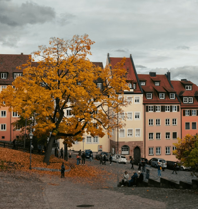 2026 황금연휴 달력과 해외여행 카드 혜택