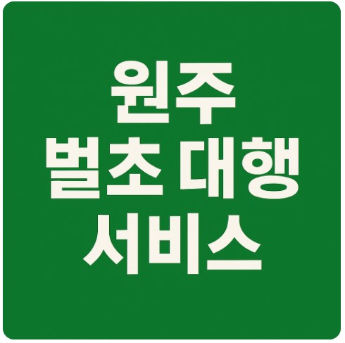 원주 벌초 대행