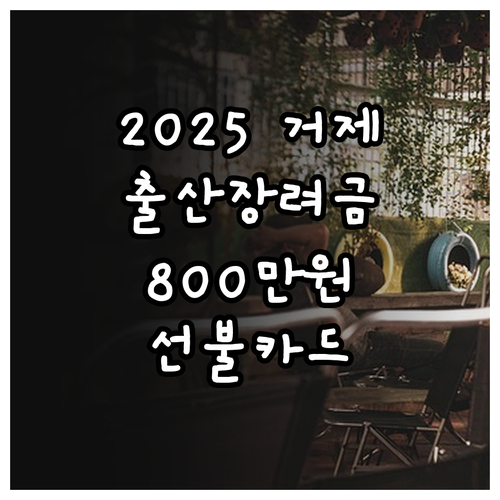 2025 거제시 출산장려금 800만원..