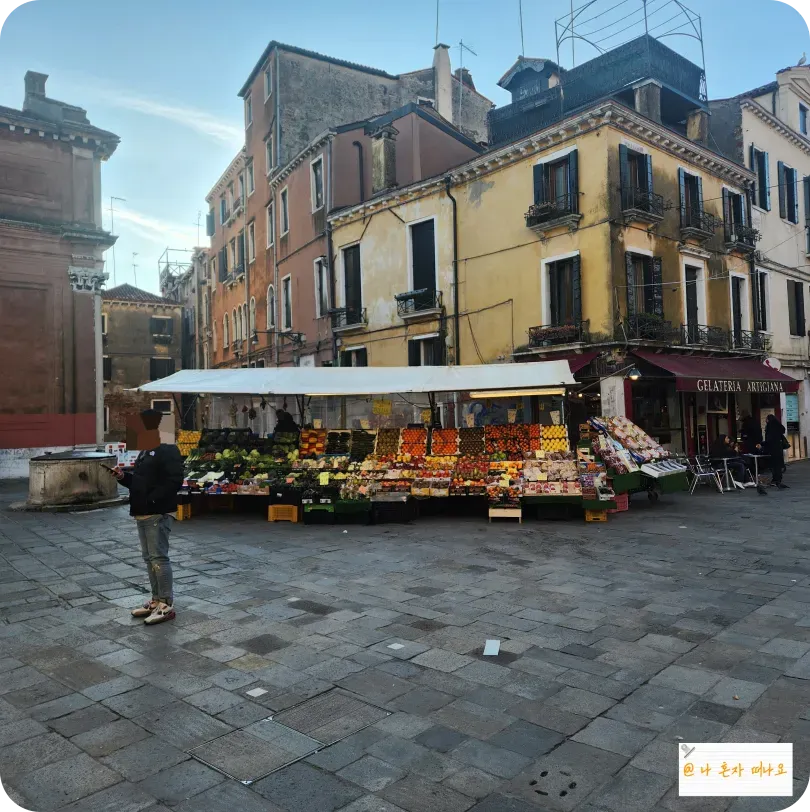 가판대-진열된-야채와-과일