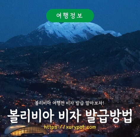볼리비아 비자 신청
