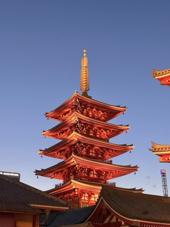 도쿄 여행 추천 BEST 5 : 도쿄 디즈니랜드 놀이기구 추천 TOP 7