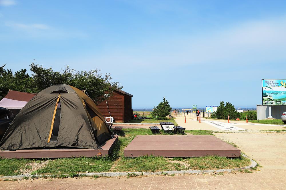 레전드 캠핑장 송지호오토캠핑장 소개