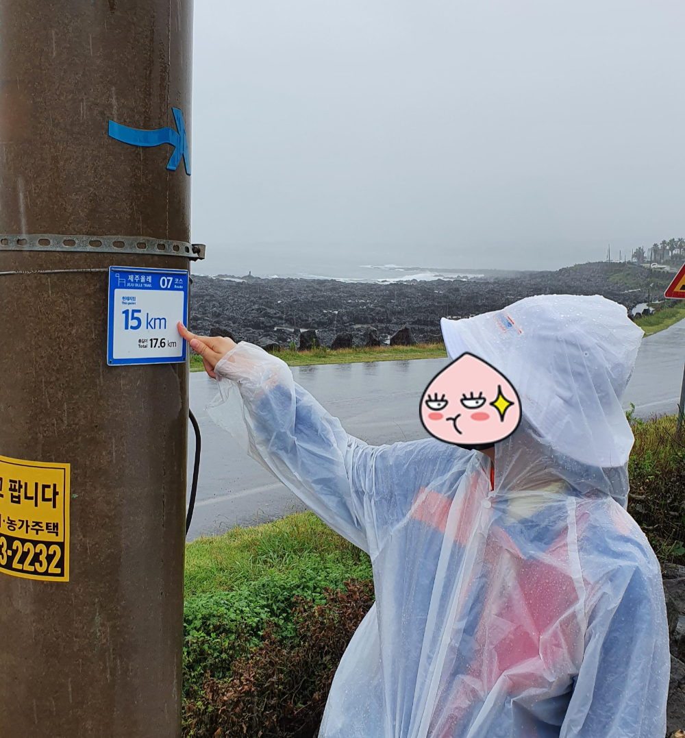 서귀포여행