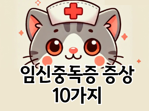 임신중독증 증상 10가지 - 초기에 알아채야 하는 위험 신호