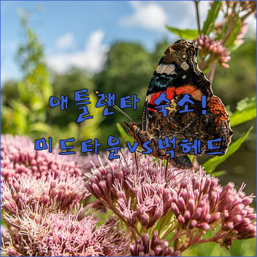 애틀랜타 숙소 추천 미드타운 벅헤드 ..