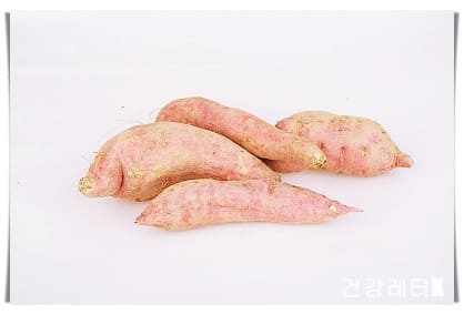 고구마 6