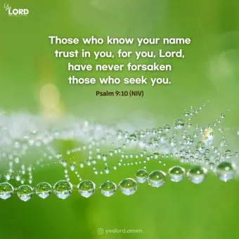 시편 91장 11절 읽기 - 그가 너를 위하여 그의 천사들을 명령하사_4