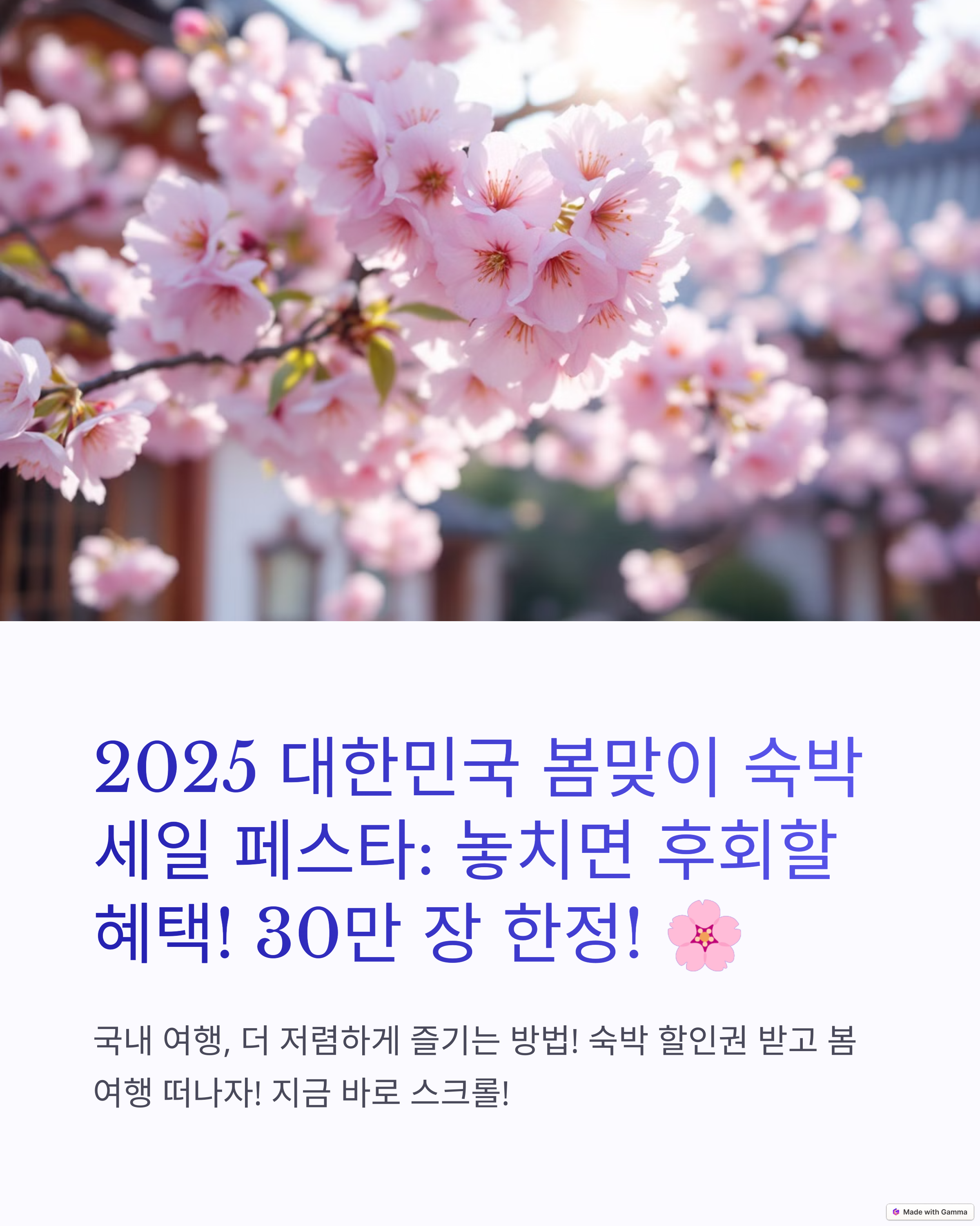 숙박 세일 페스타