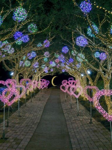 제주허브동산별빛놀이