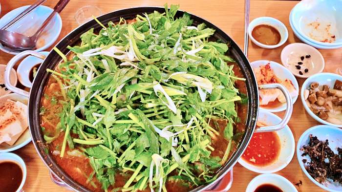 OBS 어서옵쇼 가볼만한 곳, 파주 깊고 진한 맛, 참게 매운탕 맛집