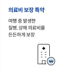 삼성화재 국내 여행자보험 인터넷 가입