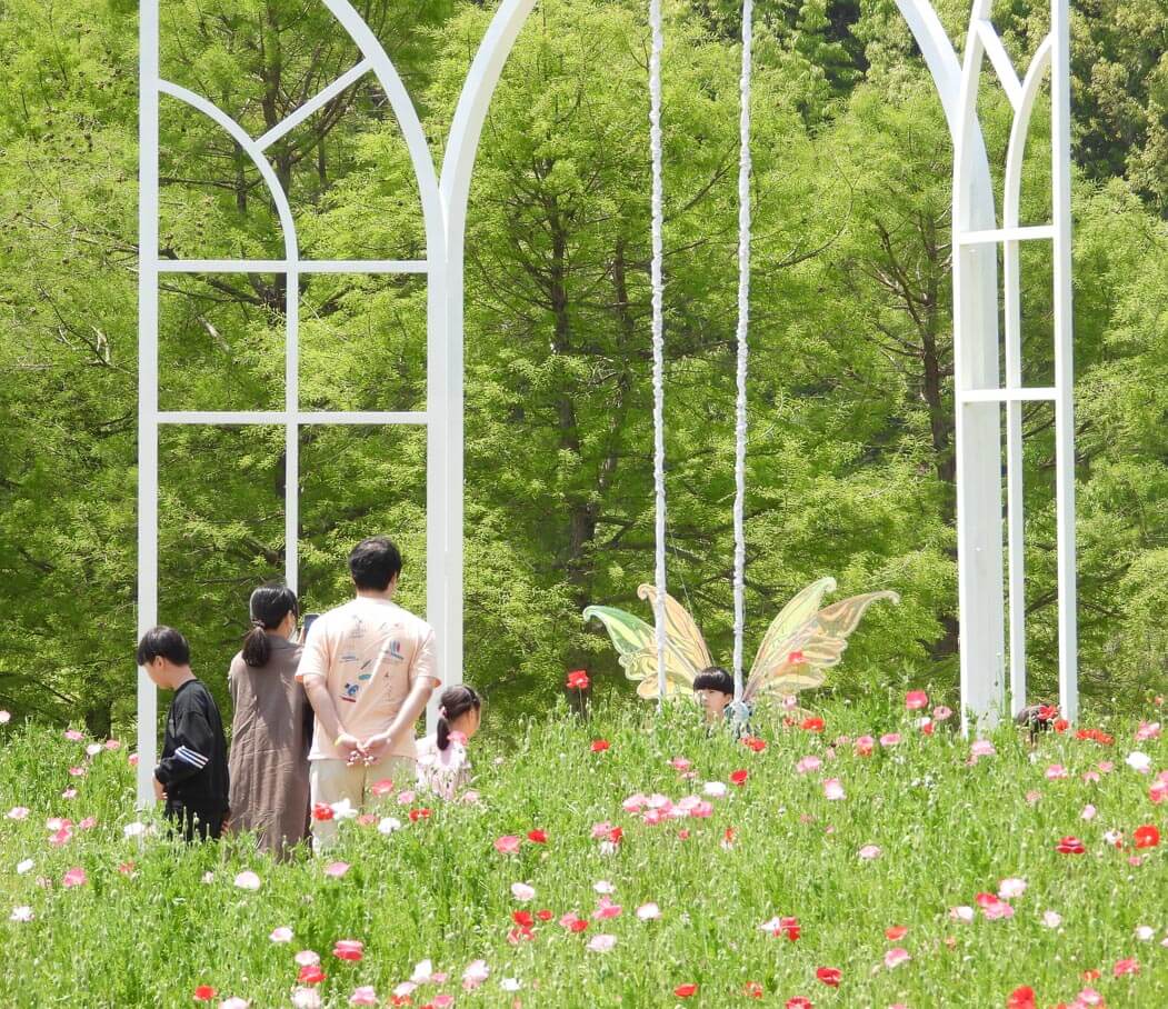 함평 나비 축제
