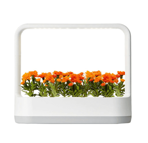 크리스마스 선물 부모님 선물 추천 2024 크리스마스 선물 실용적인 선물 부모님 건강 관리 선물 고급 선물 부모님 편안한 생활 선물 고급 마사지기 선물 디지털 포토프레임 로봇 청소기 스마트 스피커 선물 에어프라이어 선물 온열 담요 선물 고급 침구 세트 건강 보조제 선물 온천 여행 패키지 크리스마스 선물 아이디어 편안한 휴식 선물 겨울철 선물 추천 부모님을 위한 선물