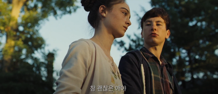 이렇게 해석이 제각각인 영화는 첨보네요..(영화'킬링디어') 