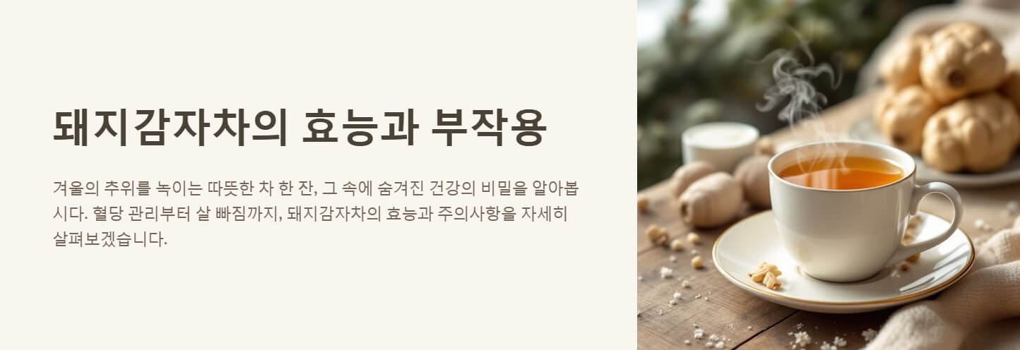 카무트 효소 효능 먹는법