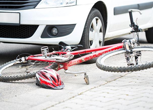 일상생활 배상책임보험 보장 범위